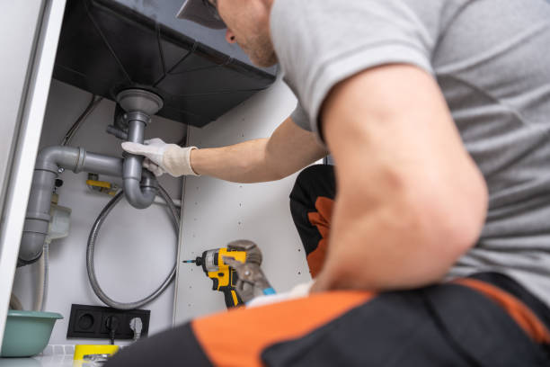 Best Local Plumber Services  in Stapleton, AL