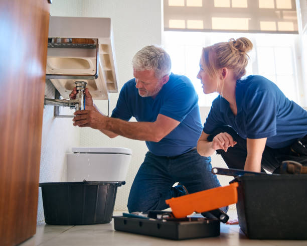 Best Toilet Repair Services  in Stapleton, AL