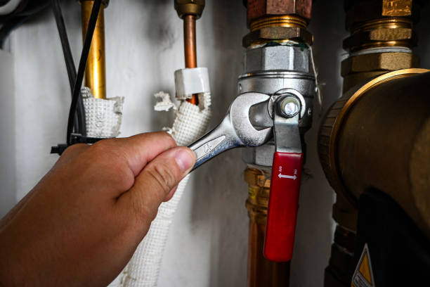 Best Water Softener Installation  in Stapleton, AL